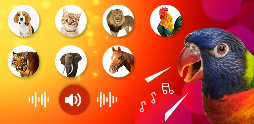 Animal Ringtones