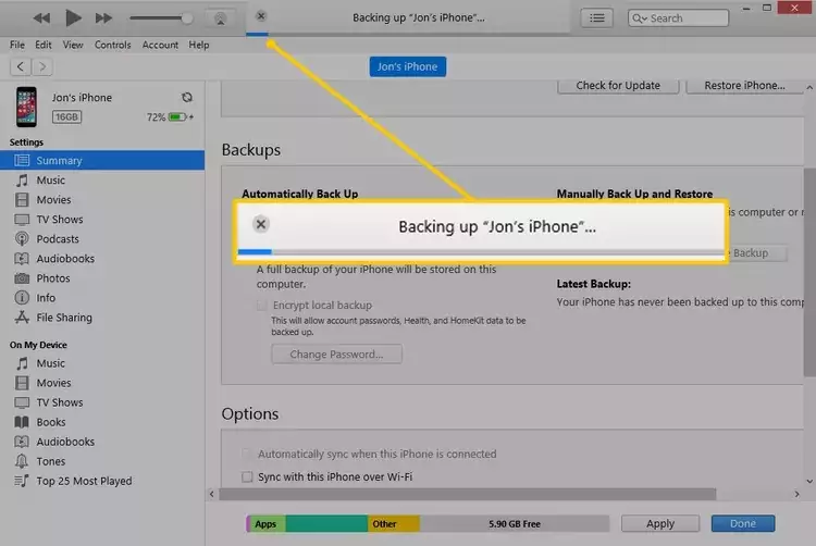 watch the blue progress bar at the top of iTunes