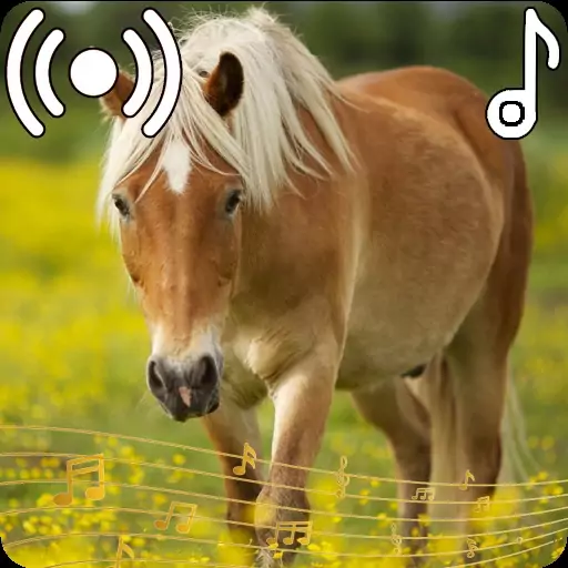 Horse Ringtones